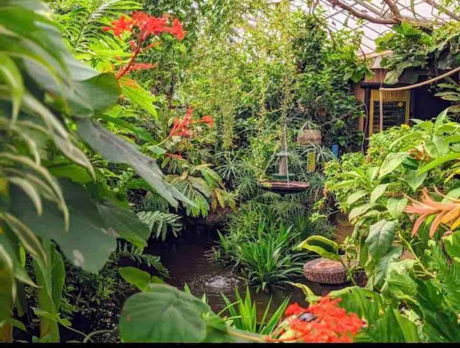 Hidden Gem !Stunning 3 Bedroom Home In Sheffield Handsworth Zewnętrze zdjęcie